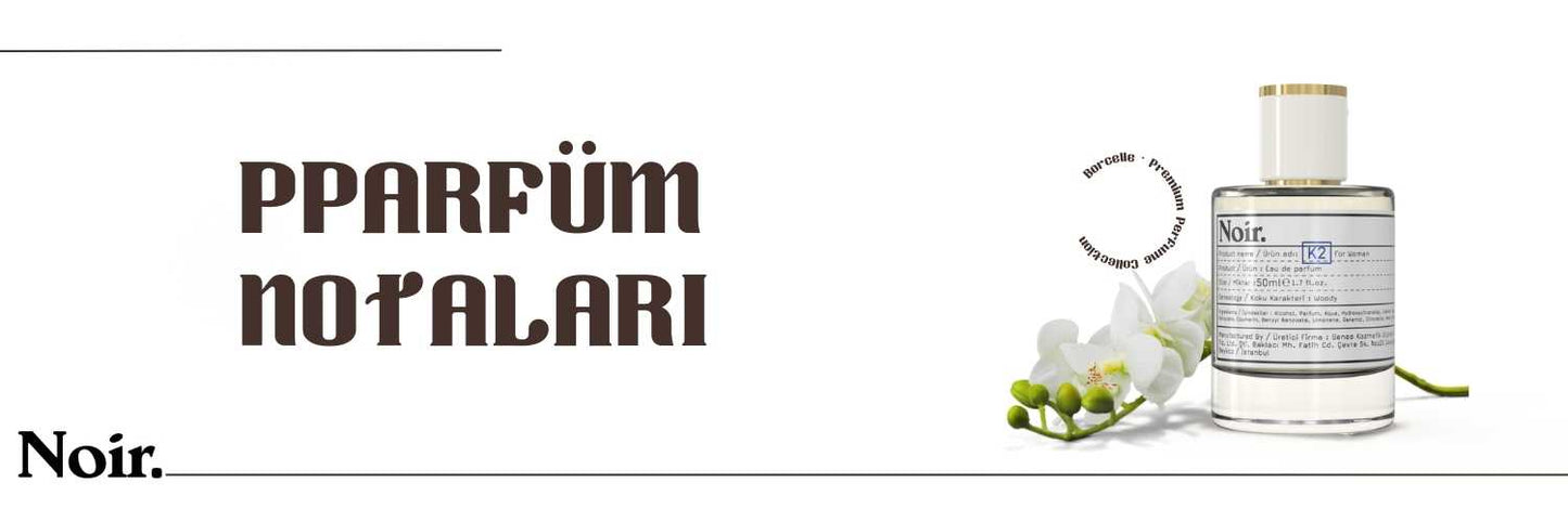 Parfüm Notaları Rehberi: Kokuların Dili